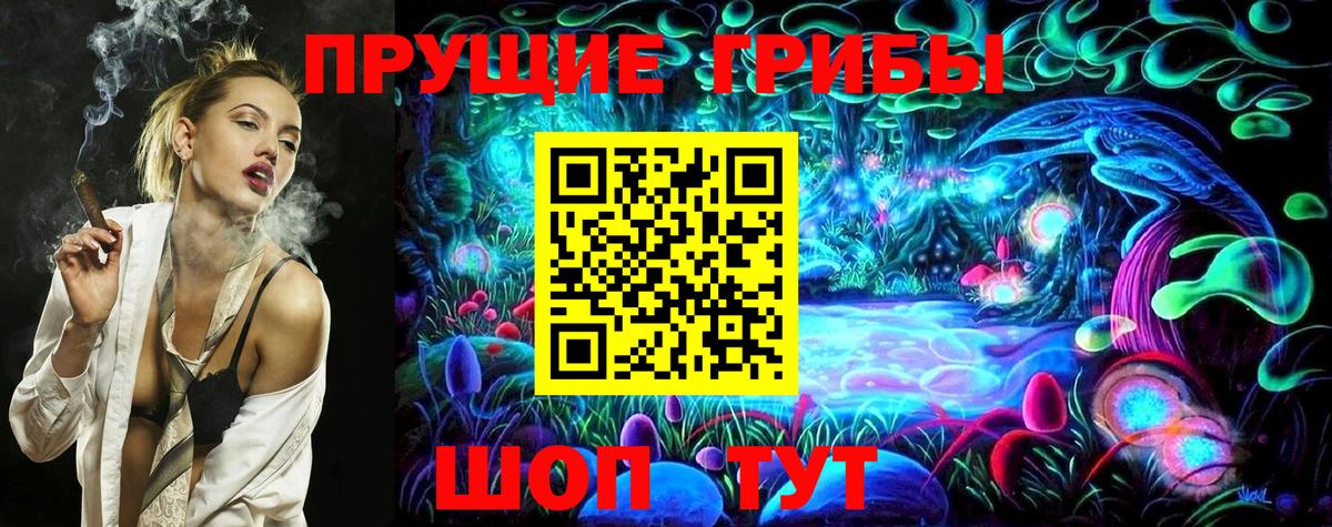 где купить наркотик  Псилоцибиновые грибы Cubensis  Вход с VPN  Кинешма 
