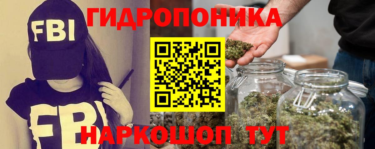 Кинешма  Бошки марихуана планчик  Марихуана сатива  Шишки марихуана OG Kush  Вход с VPN 